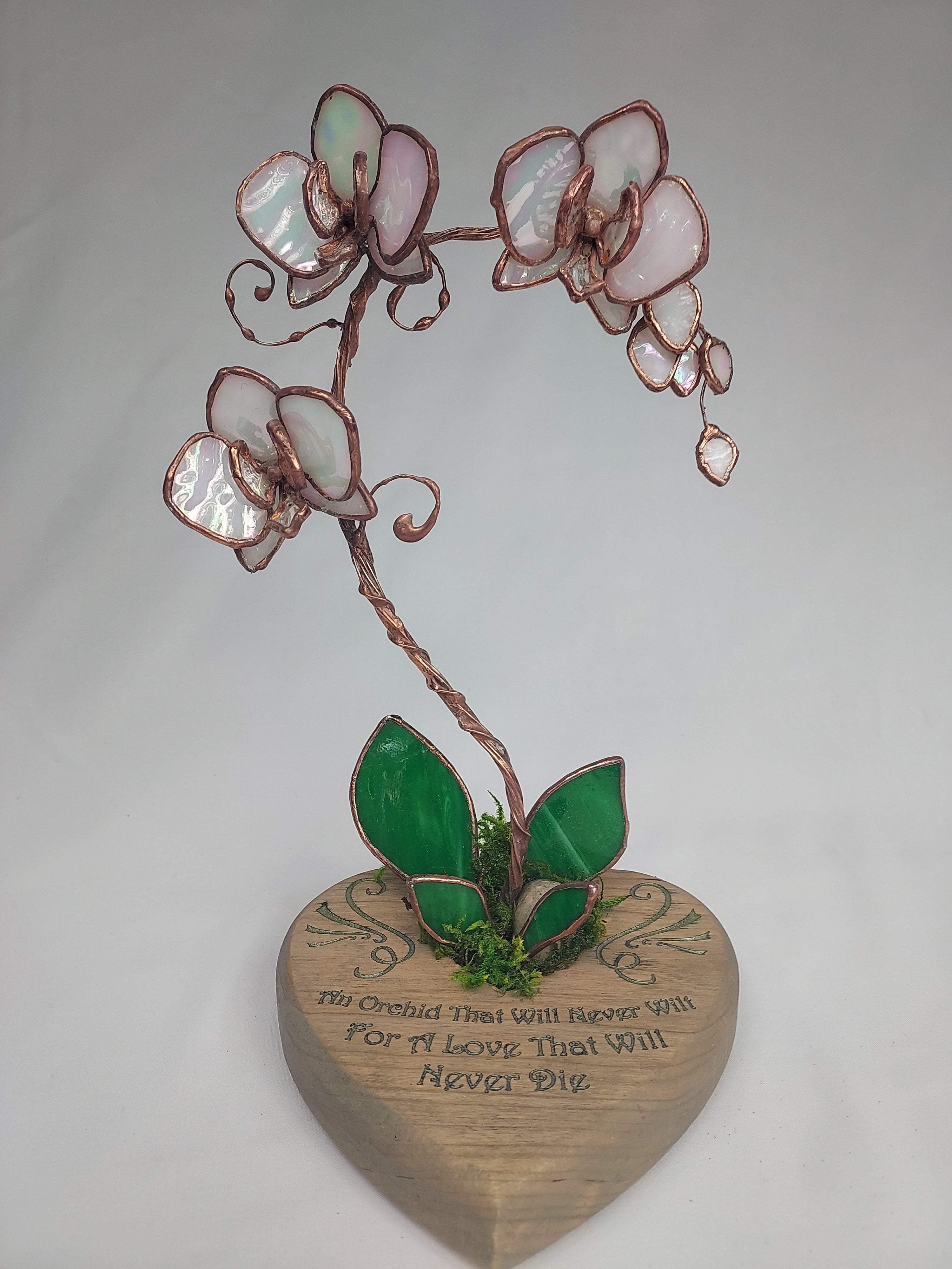 Pearl Opalescent Eternal Orchid - Romantic Gift