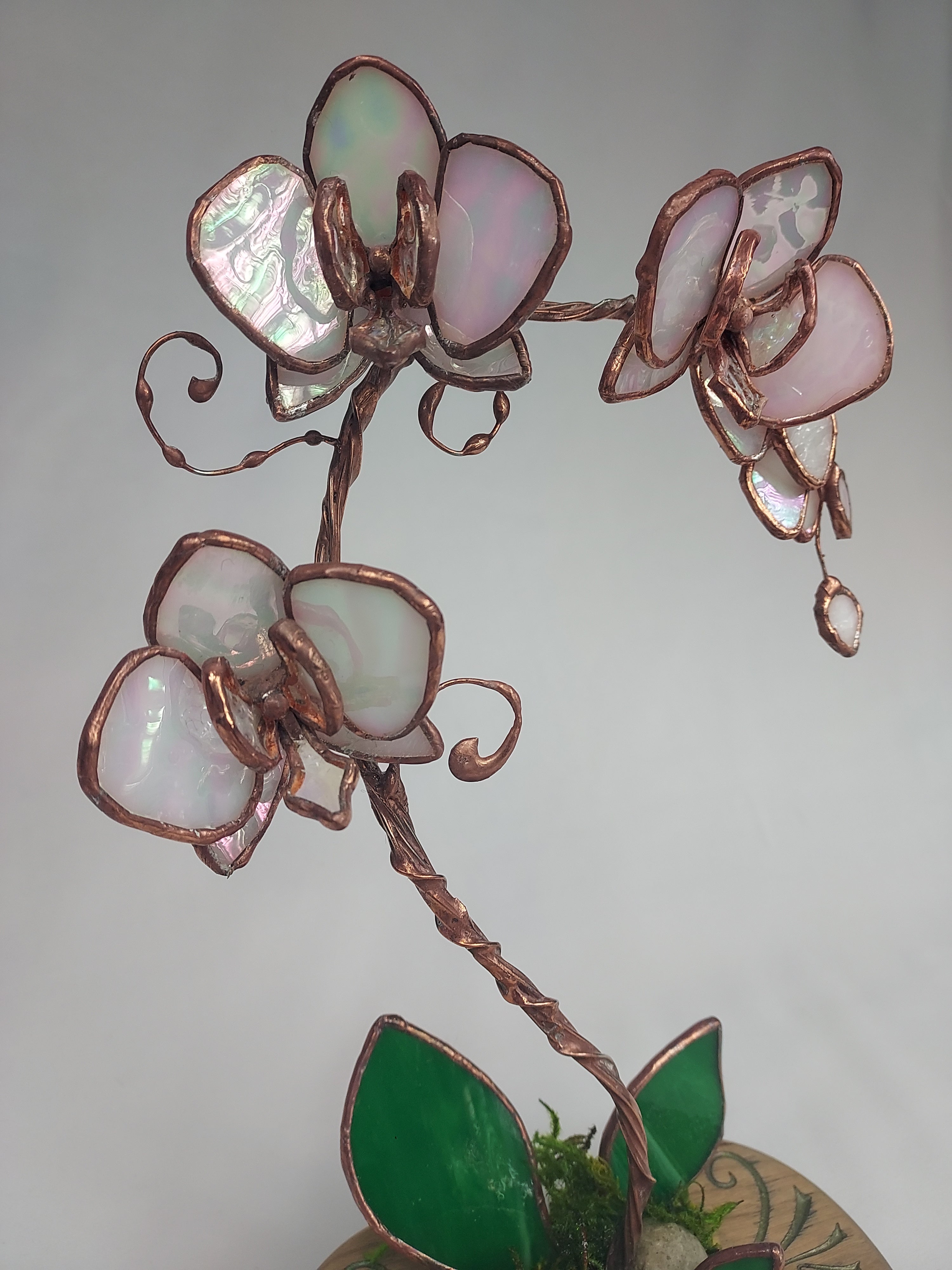 Pearl Opalescent Eternal Orchid - Romantic Gift