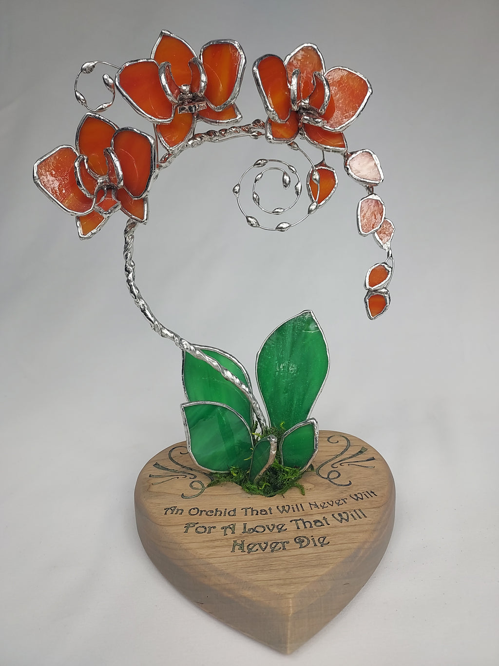 Sunfire Tangerine Eternal Orchid - Romantic Gift