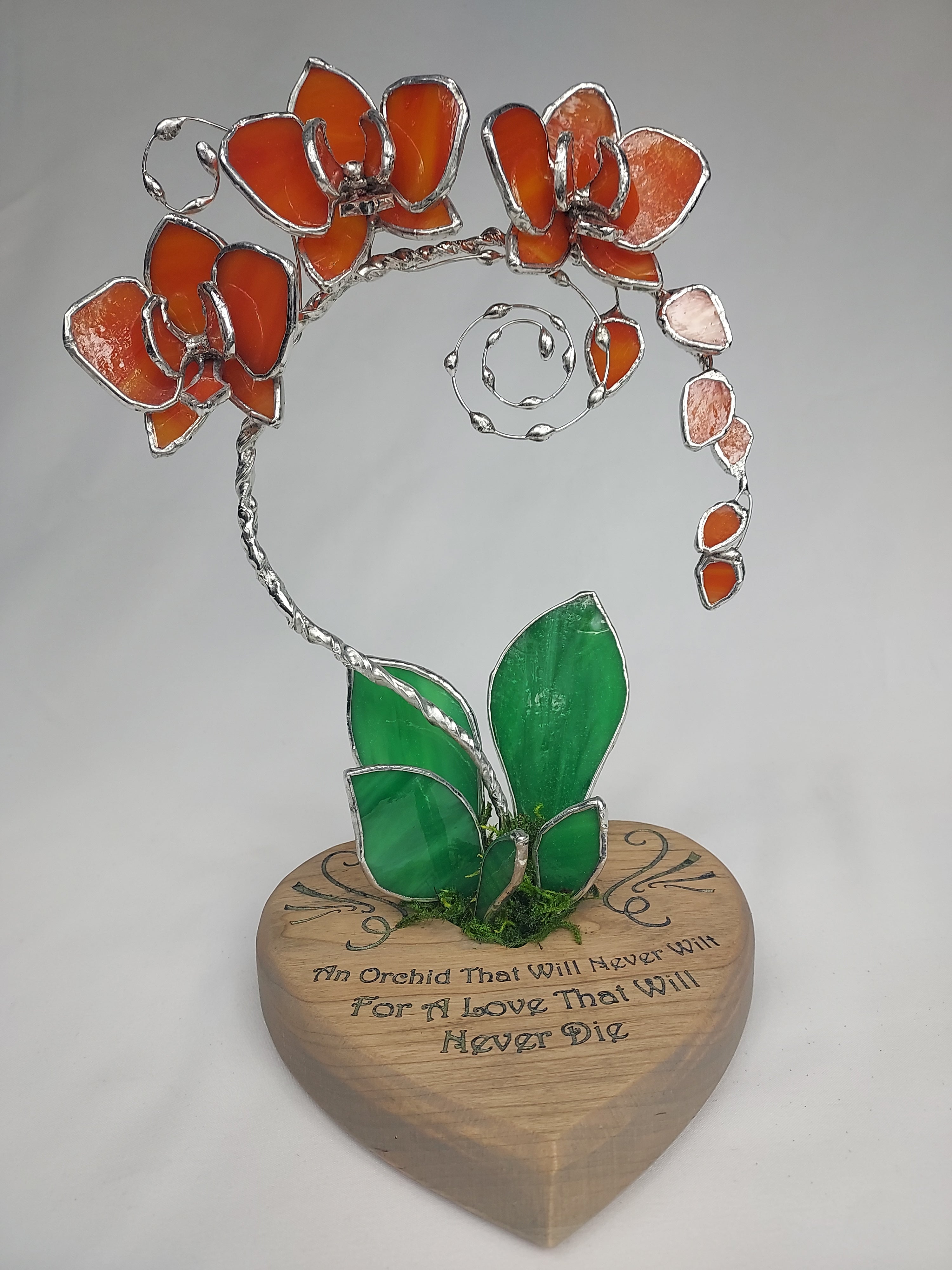 Sunfire Tangerine Eternal Orchid - Romantic Gift