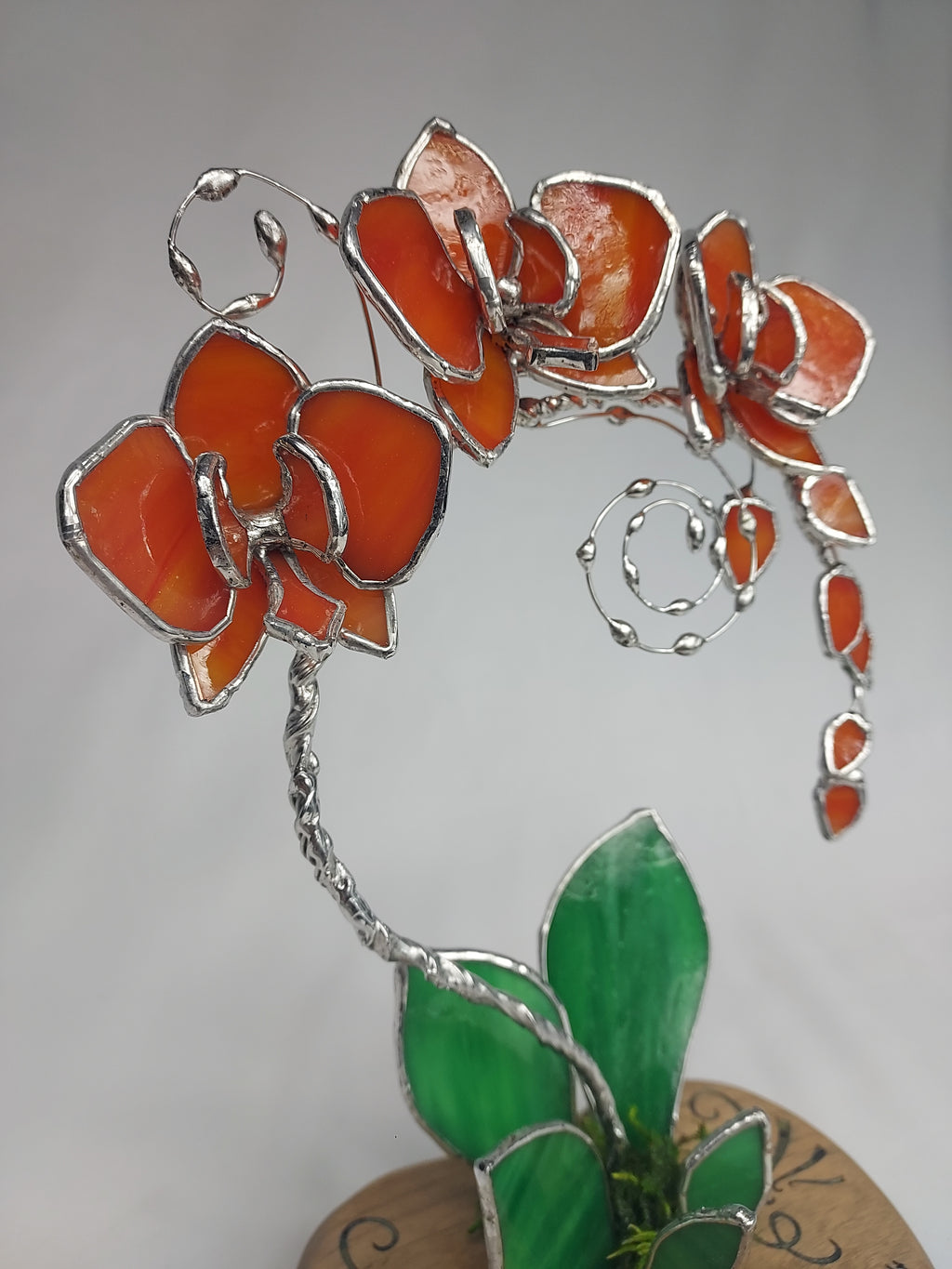 Sunfire Tangerine Eternal Orchid - Romantic Gift