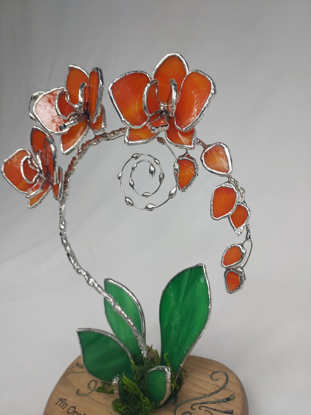 Sunfire Tangerine Eternal Orchid - Romantic Gift