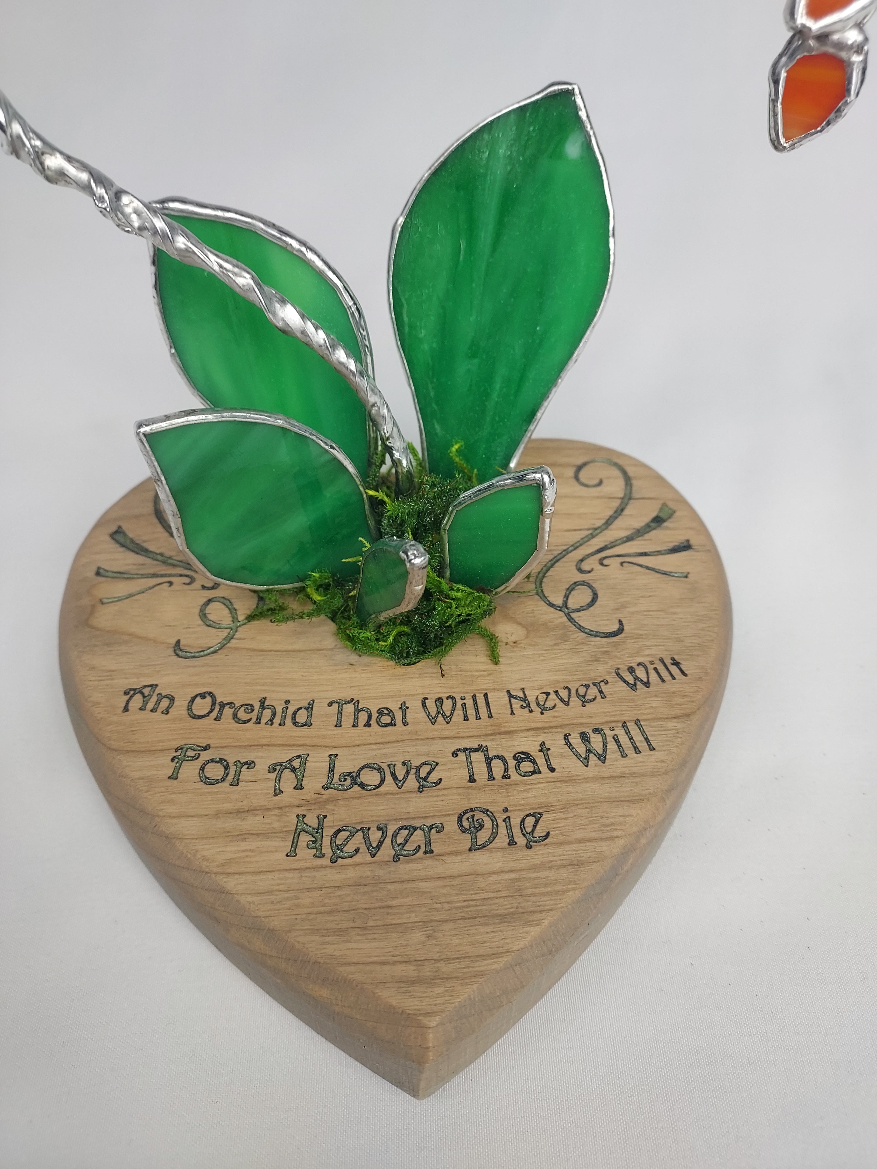 Sunfire Tangerine Eternal Orchid - Romantic Gift