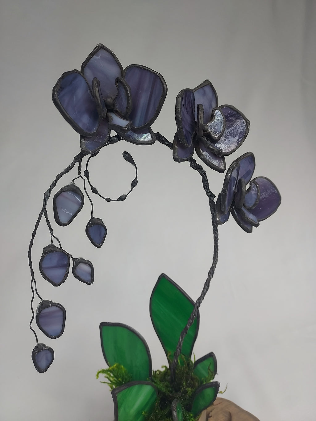 Midnight Amethyst Eternal Orchid - Romantic Gift