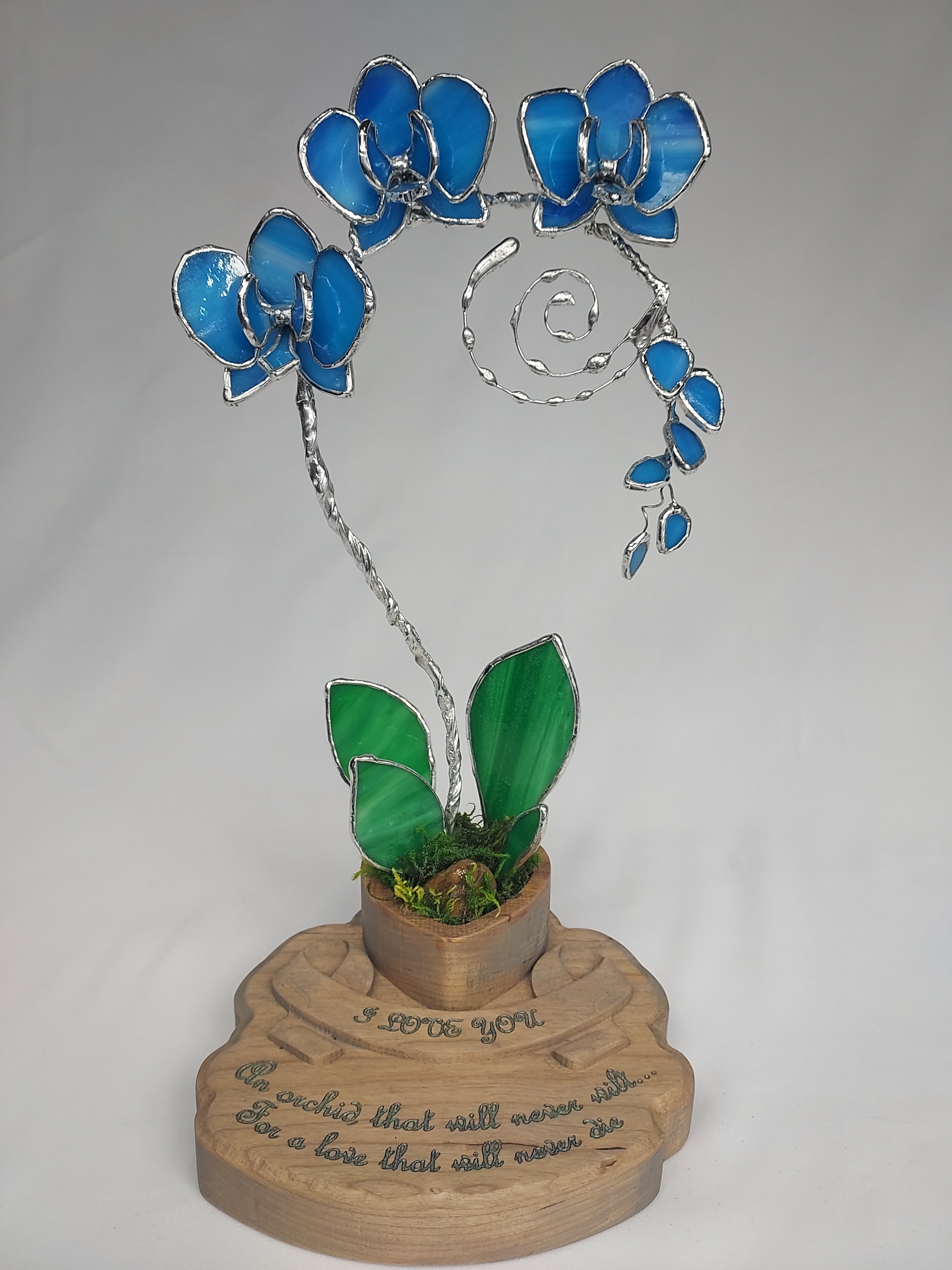 Ocean Blue Eternal Orchid - Romantic Gift