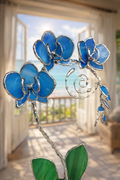Ocean Blue Eternal Orchid - Romantic Gift