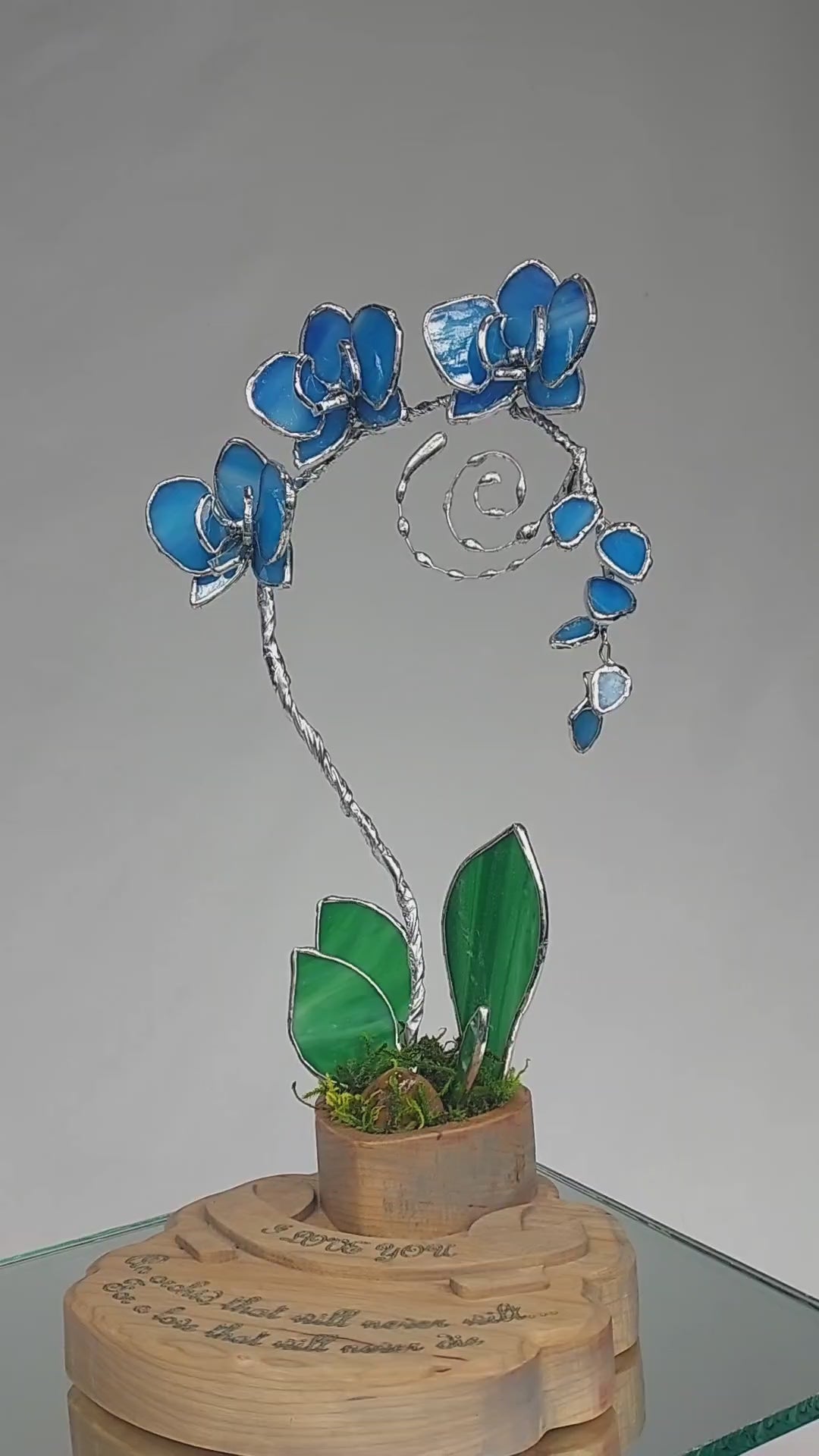 Ocean Blue Eternal Orchid - Romantic Gift