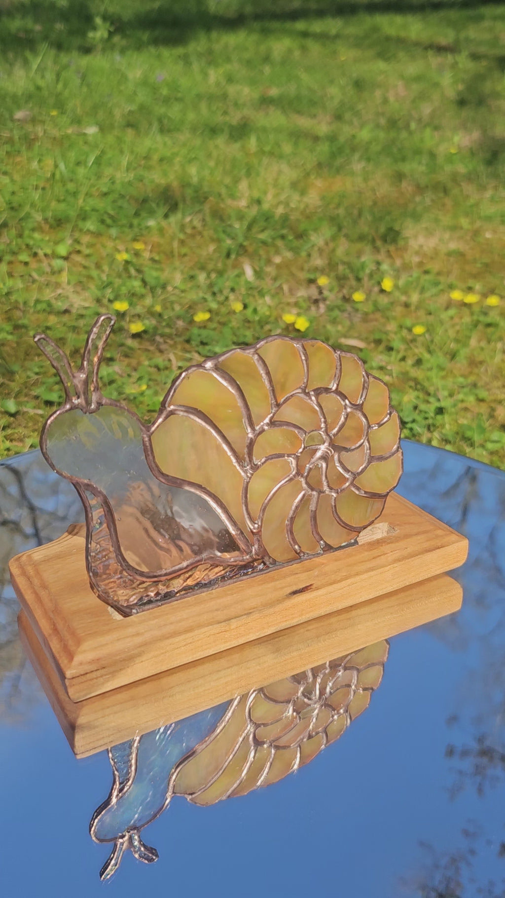 A Snails Journey