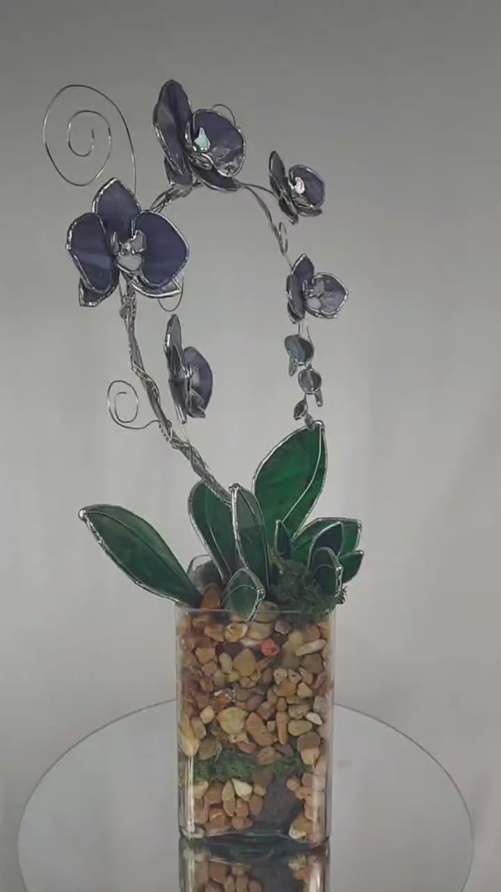 Midnight Amethyst Eternal Orchid