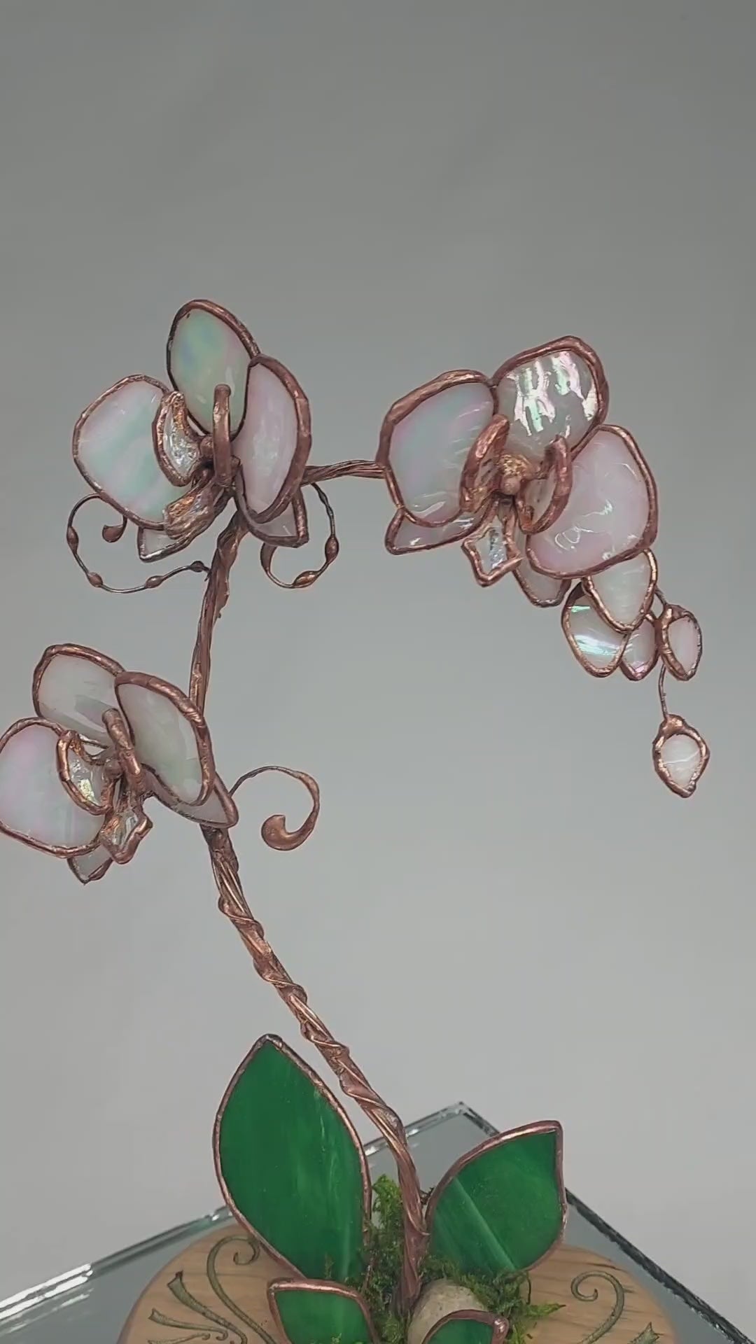 Pearl Opalescent Eternal Orchid - Romantic Gift