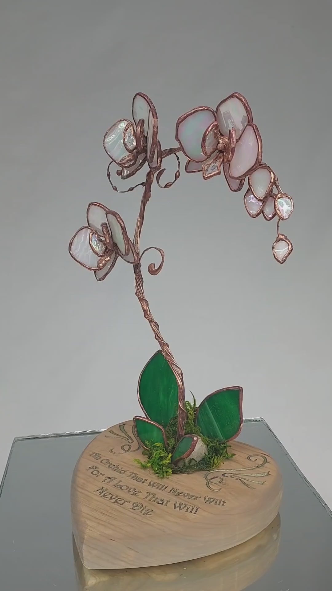 Pearl Opalescent Eternal Orchid - Romantic Gift