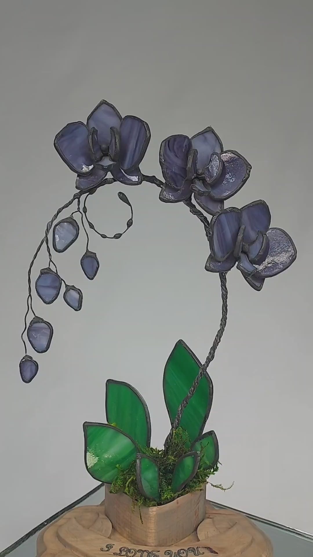 Midnight Amethyst Eternal Orchid - Romantic Gift