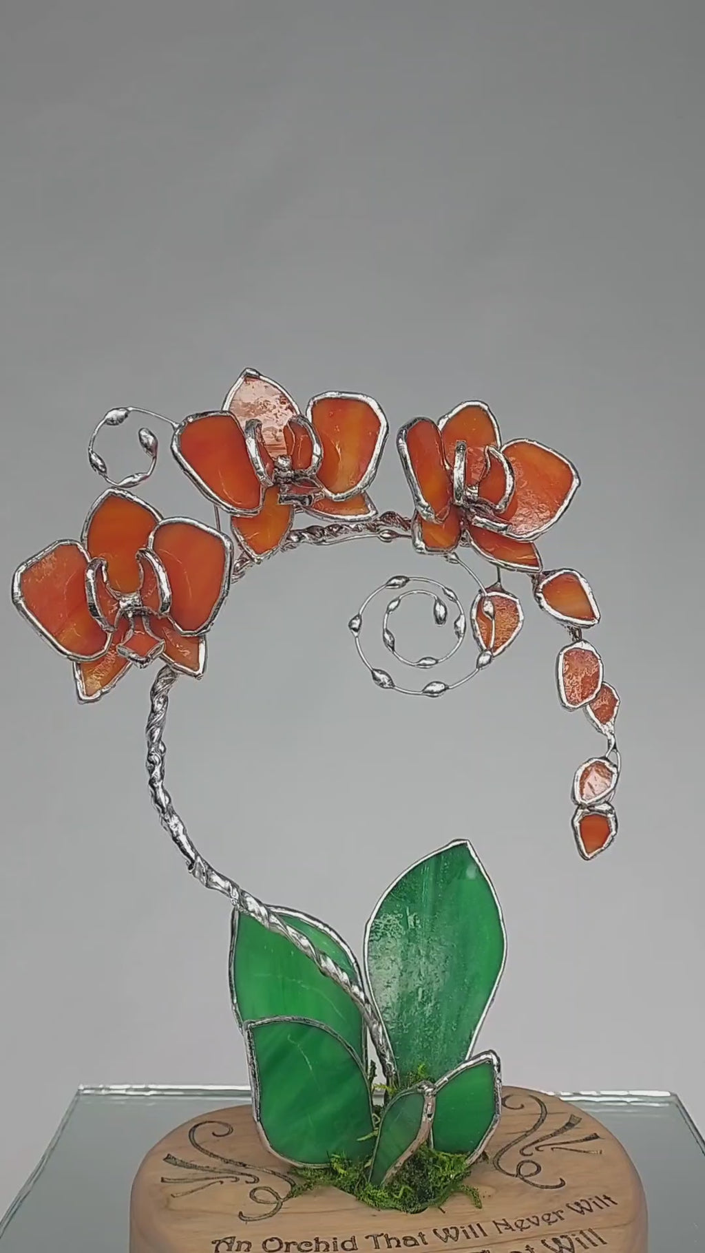 Sunfire Tangerine Eternal Orchid - Romantic Gift