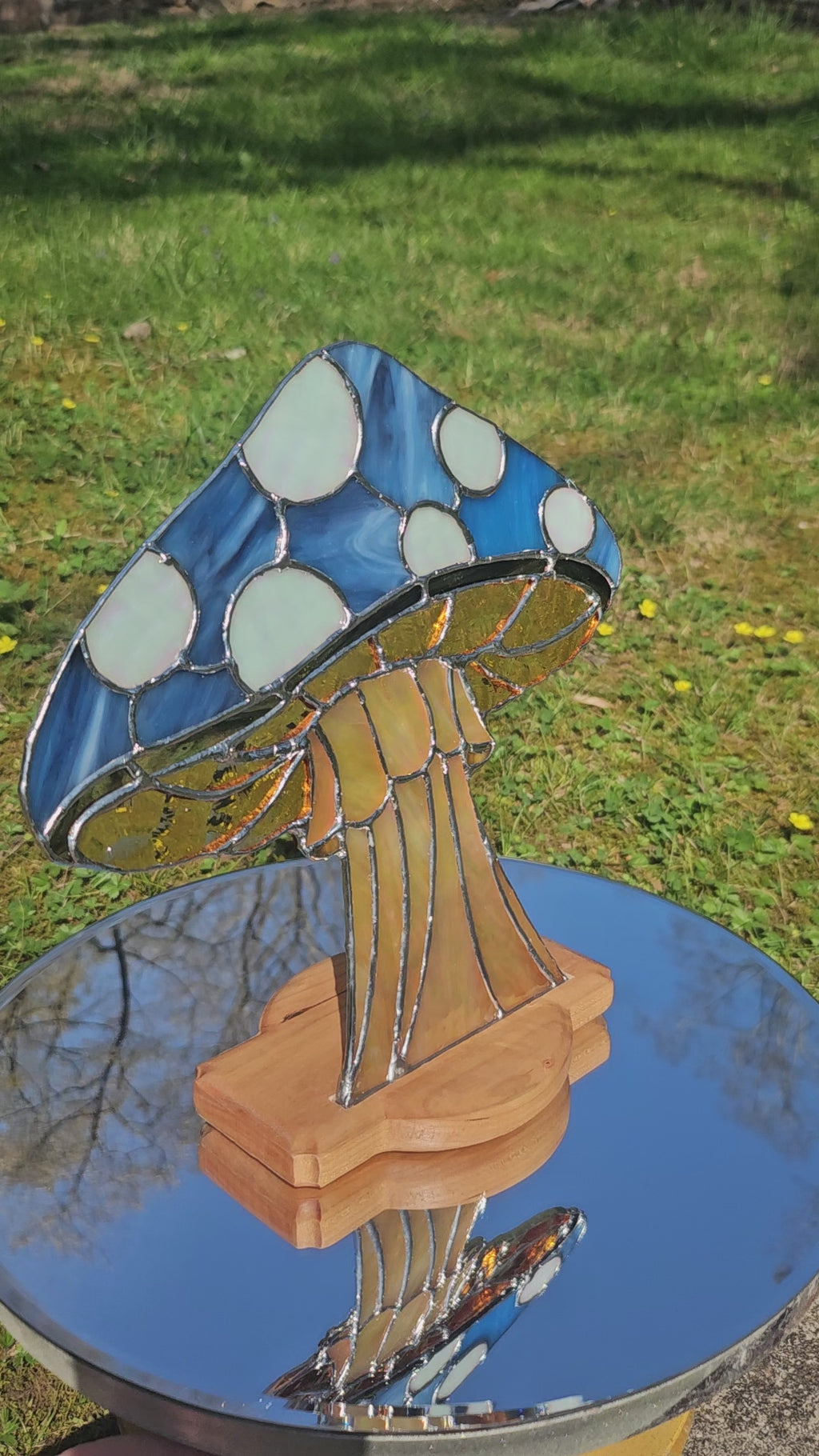 Sapphire Toadstool