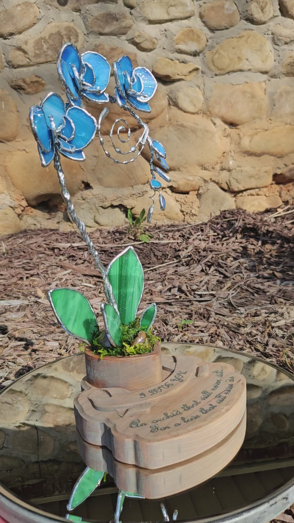 Ocean Blue Eternal Orchid - Romantic Gift