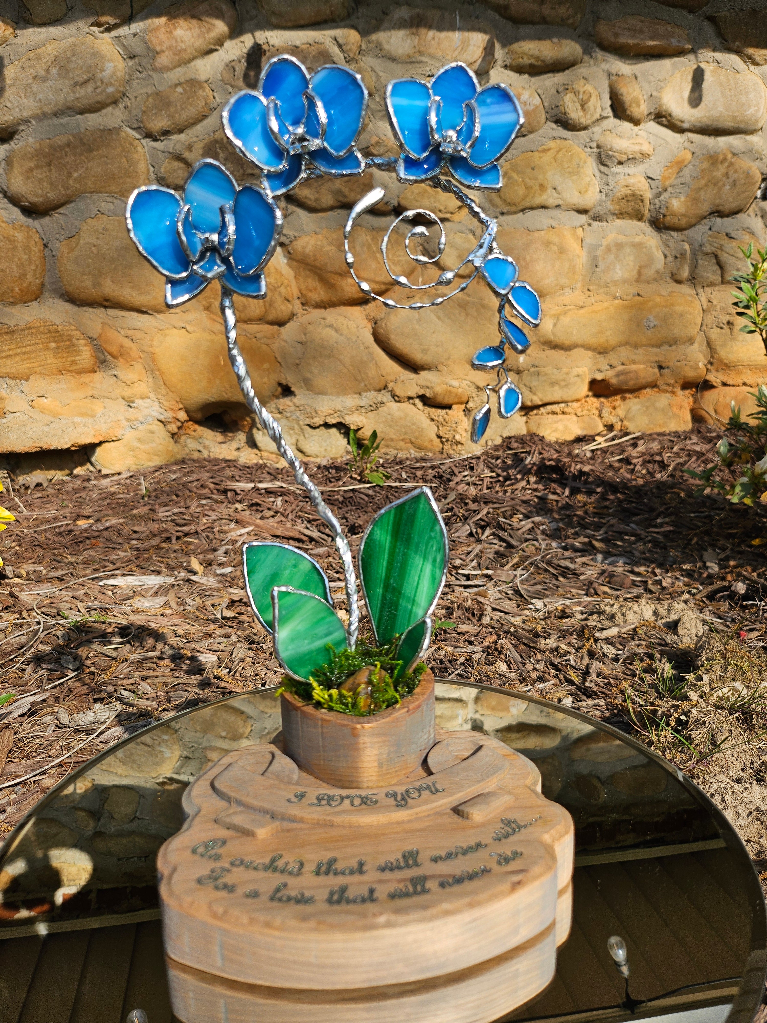 Ocean Blue Eternal Orchid - Romantic Gift