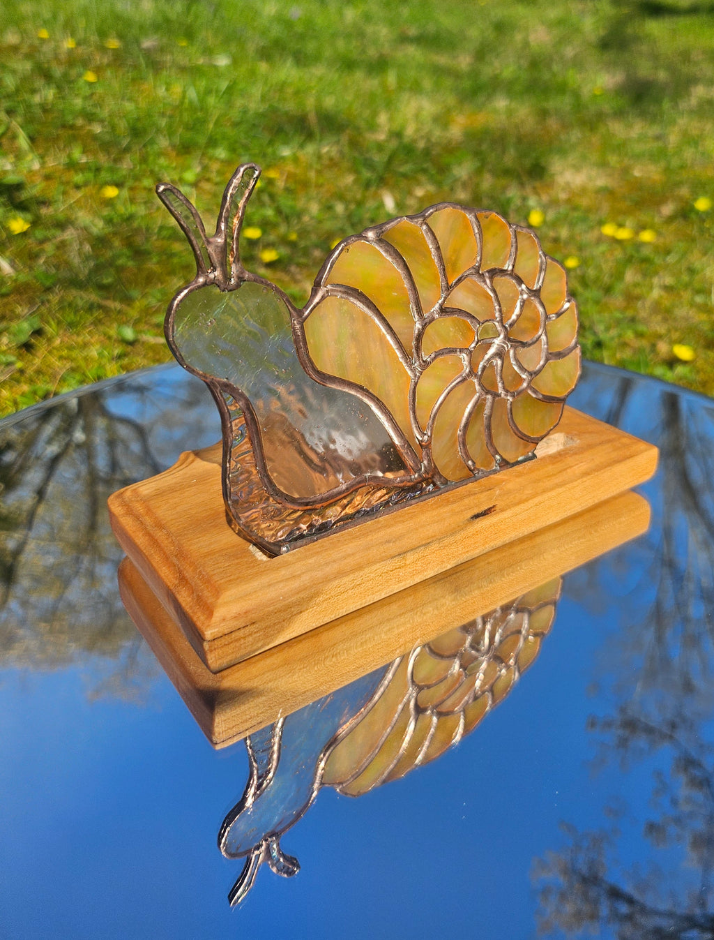 A Snails Journey