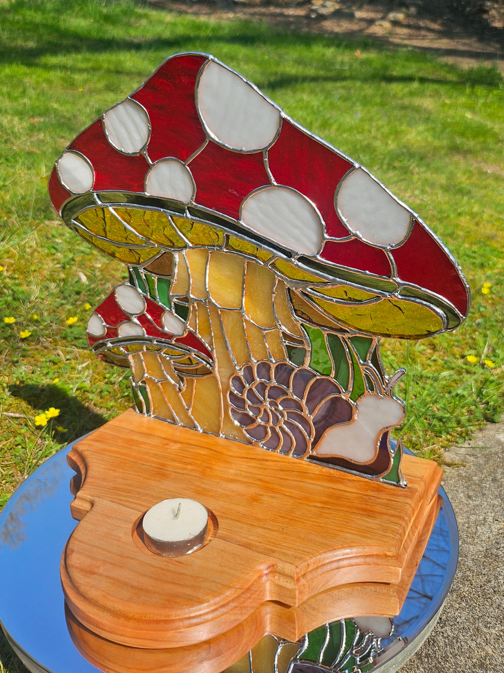 Snails Rest Beneath The Red Caps